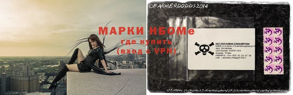 метадон Алексин