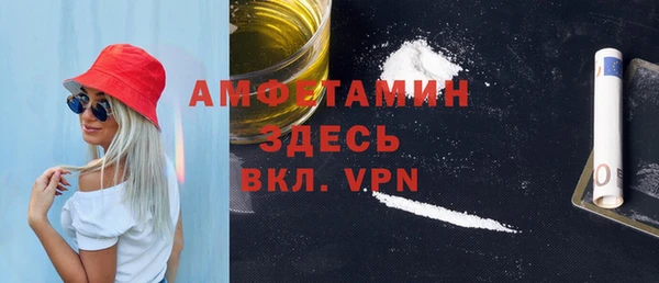 метадон Алексин
