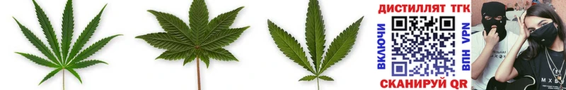 наркотики Жуковский ТГК THC oil