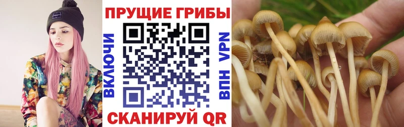 Псилоцибиновые грибы прущие грибы Жуковский